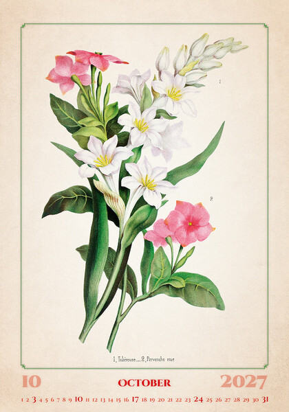 Calendar Herbarium