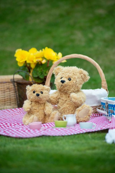 ΚΛΑΣΙΚΌ ΑΡΚΟΥΔΆΚΙ ΜΕ ΑΡΘΡΏΣΕΙΣ - S