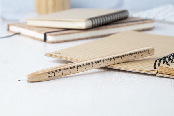 Ballpoint Pen With Ruler Burnham