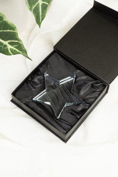 Trophée étoile Crystar