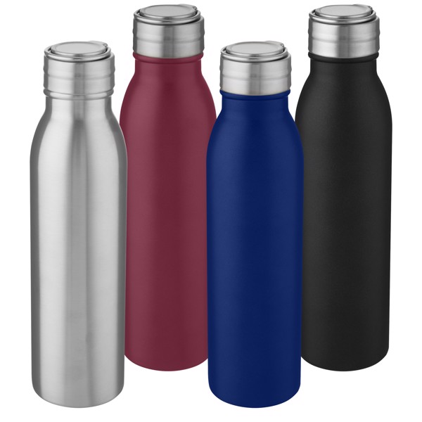 Garrafa desportiva de 700 ml de aço inoxidável com alça de metal "Harper" - Prateado