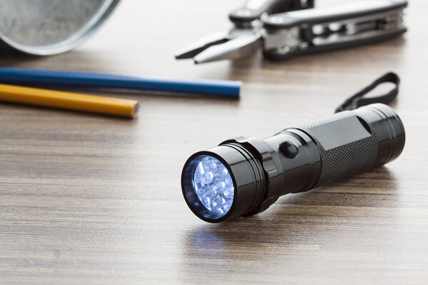 Flashlight Everwood
