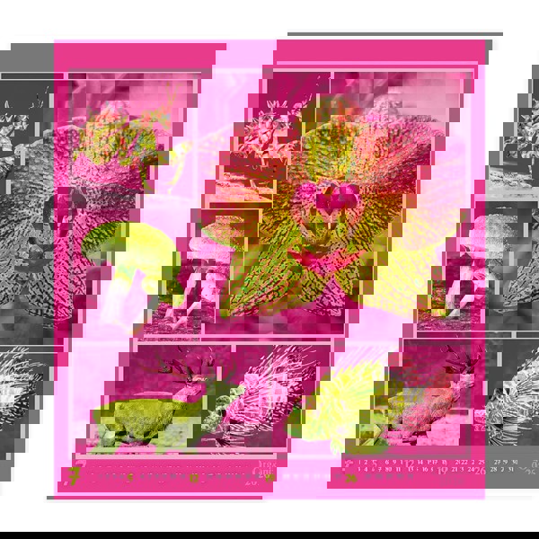 ORGANIX