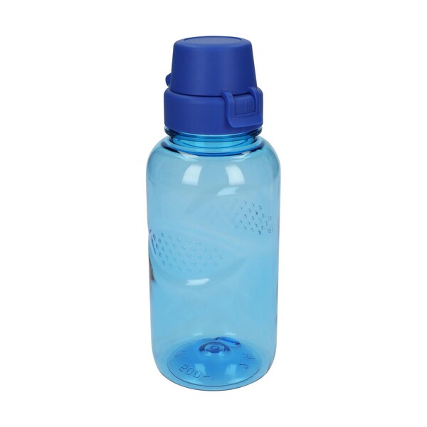 Gourde Sculpture "School" Claire-Transparente 0,5 L