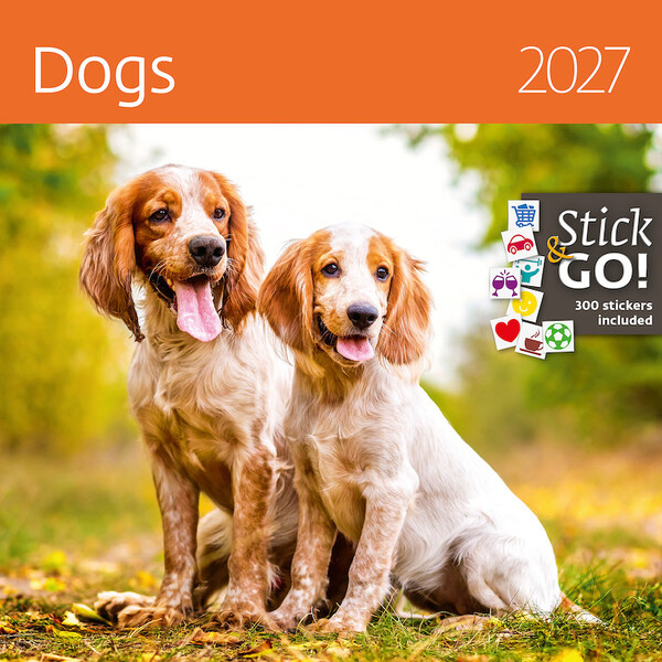 Calendar Dogs