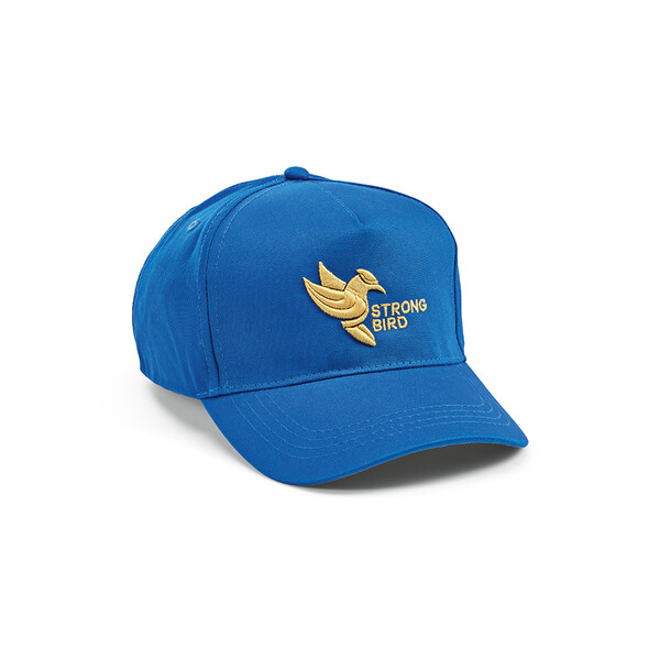 Hendrix Cap - Blue
