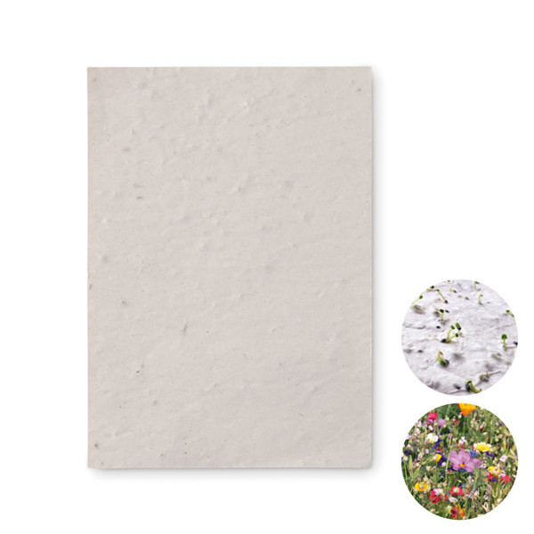 A6 wildflower seed paper sheet Asido