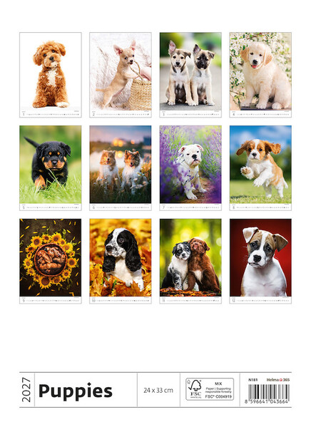 Calendar Puppies