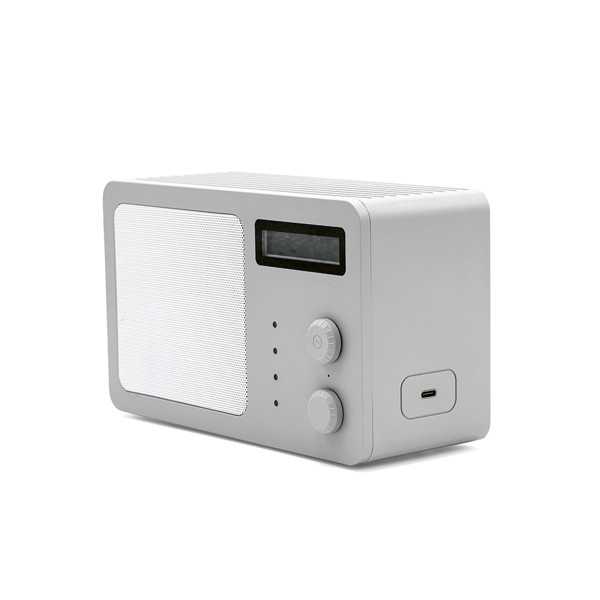 Soundview Speaker - Argent