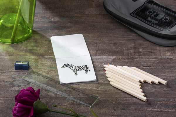 Colour pencils with colouring book DECOR