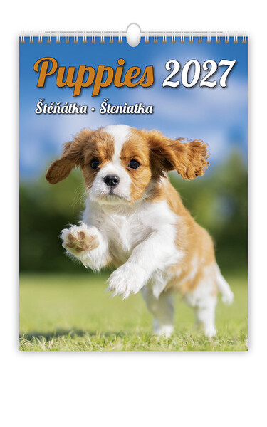 Calendar Puppies