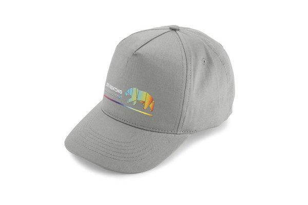 Cap TORI - grey