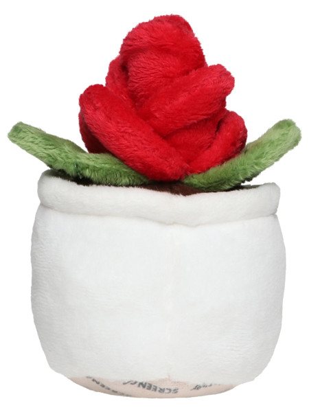 Schmoozies® Evergreenies® Rose