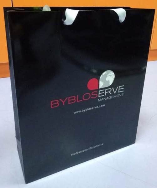 Luxury Bags: 26 (H) x 16 (W) x 8cm