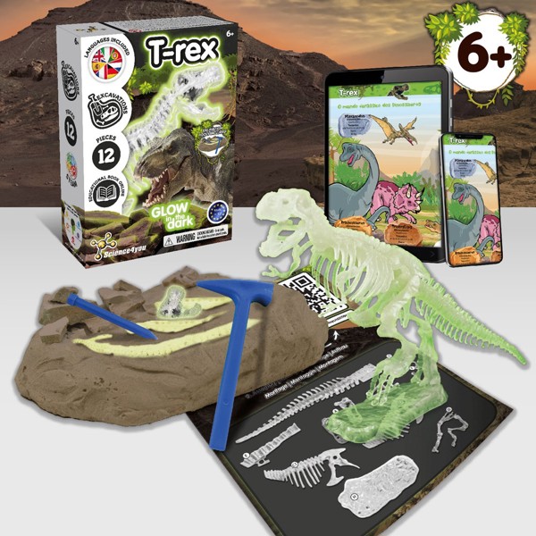 Fossil Excavation Kit I. Jeu éducatif pour enfants