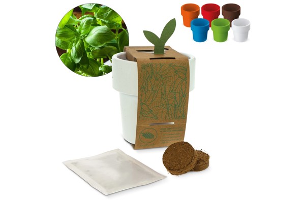 Hot-but-cool cup with Basil seeds - White