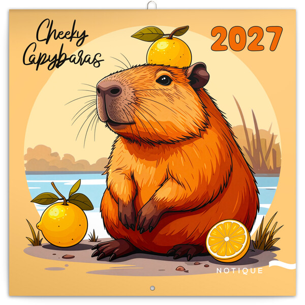 Notique Poznámkový Kalendář Rozverné Kapybary 2027, 30 x 30 cm - Východní