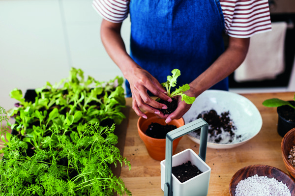 Inndor-Pflanztopf mit LED Lushlet