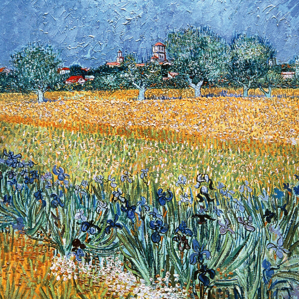 Notique Poznámkový Kalendář Vincent Van Gogh 2027, 30 x 30 cm - Východní