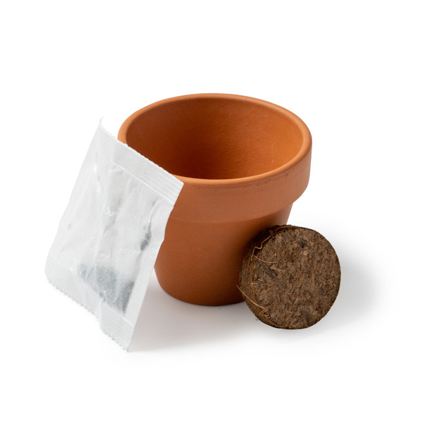 Macetero de terracota personalizado con semillas de girasol