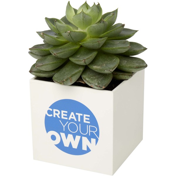 Hey Pots aluminium planted pot - succulent - White