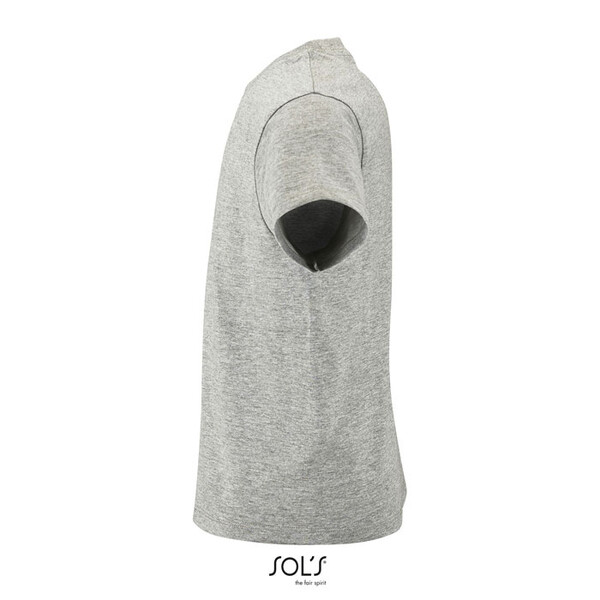 REGENT T-SHIRT CRIANÇA 150g Regent Kids - Cinzento Dois Tons3XL