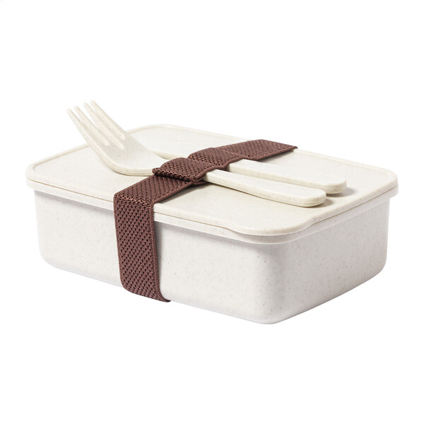 Lunch Box Adobo