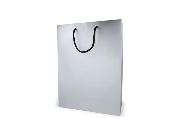 FSC Sac cadeau en papier 30 x 12 x 40cm 200g/m² - Argent