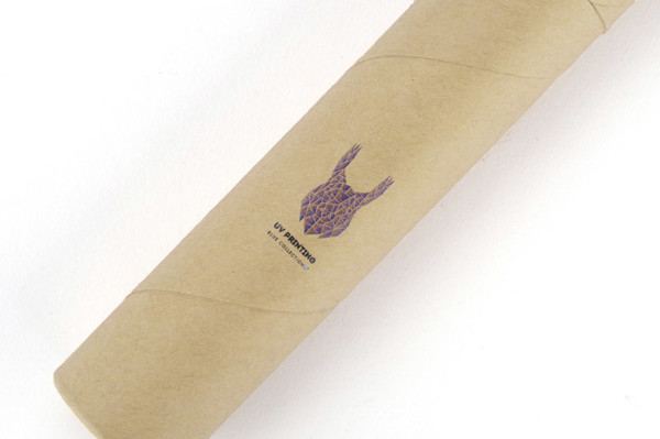 Pencil case ALES
