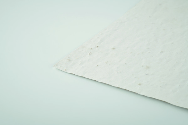 Papel sementes de flores A6 Asido