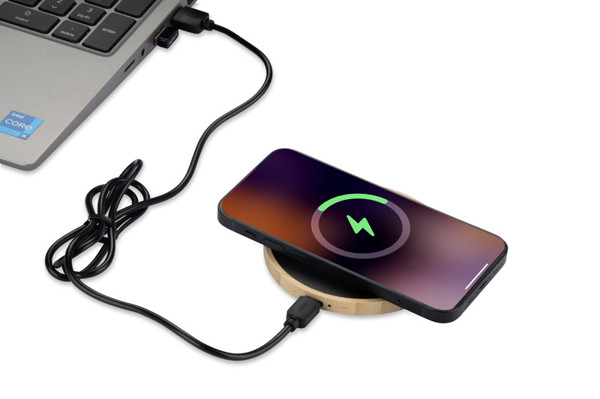 Inductive charger FRESTI