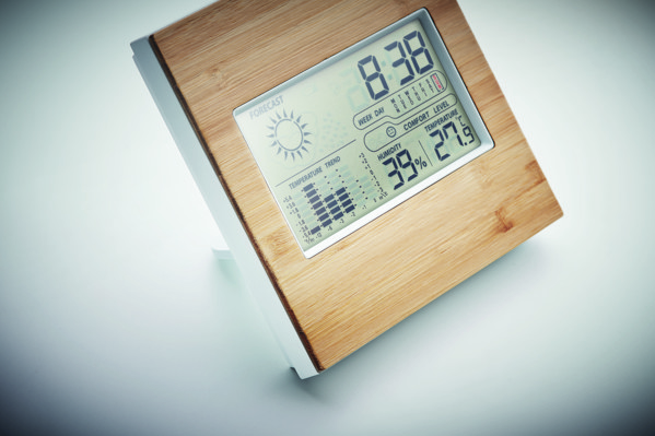 Weather station bamboo front Turku
