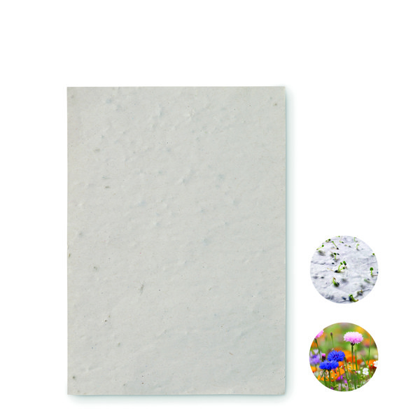 A6 wildflower seed paper sheet Asido