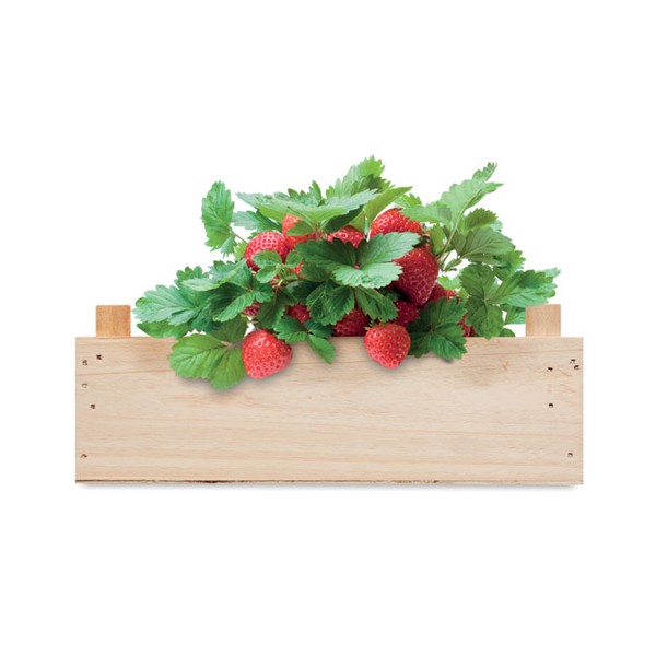 MB - Strawberry kit in wooden crate