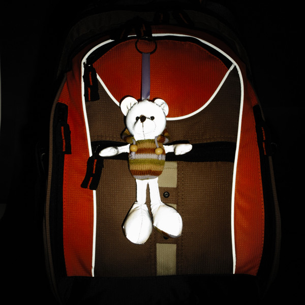Teddy reflective keyring