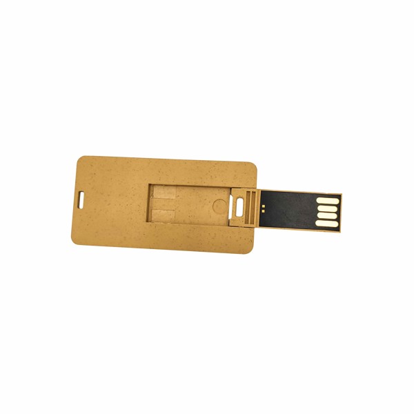 USB Flash drive TDC04 - BROWN_1GB
