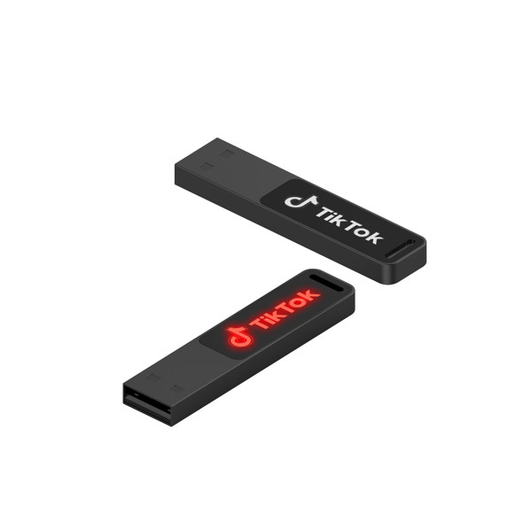 USB Flash disk TDG45 - SILVER_1GB