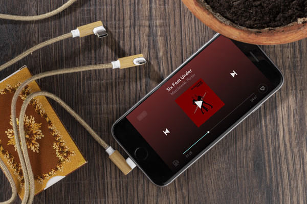 3 in 1 USB cable FLAX