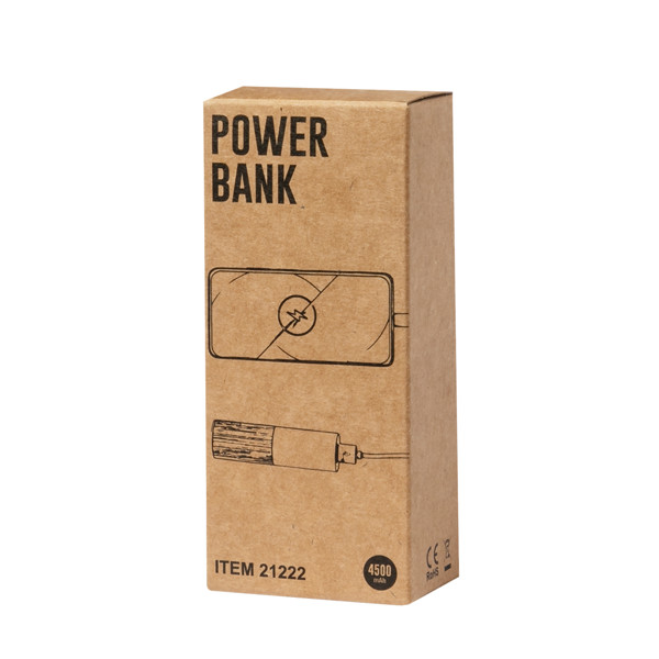 Power Bank Reneh