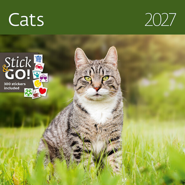 Calendar Cats