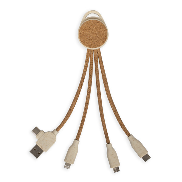Câble de charge multi-embouts