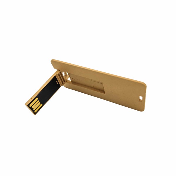 USB Flash drive TDC04 - BROWN_1GB