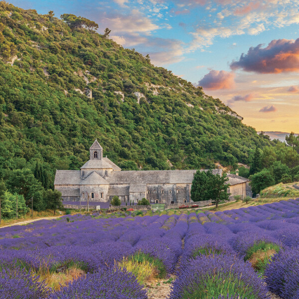 Notique Poznámkový Kalendář Provence 2027, 30 x 30 cm - Východní