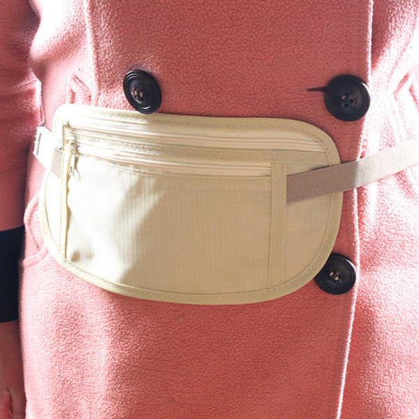 Travel kidney bag