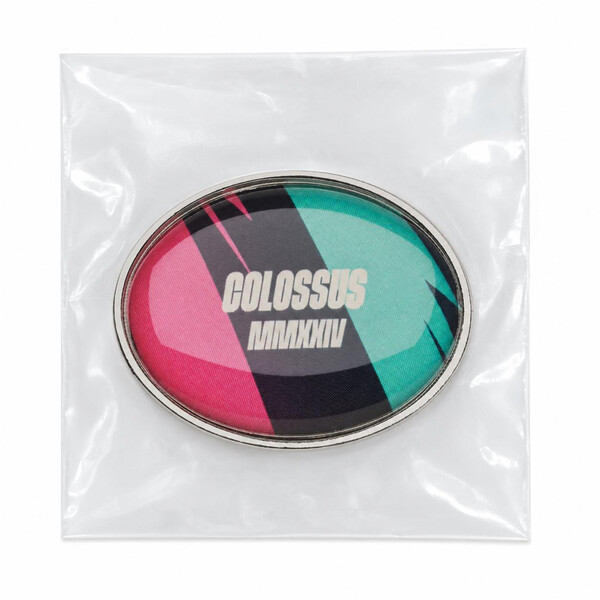 Oval metal lapel pin with doming - Nickel