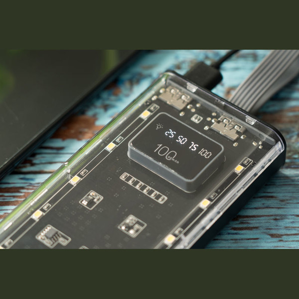 Power Bank Darwin 10,000 mAh