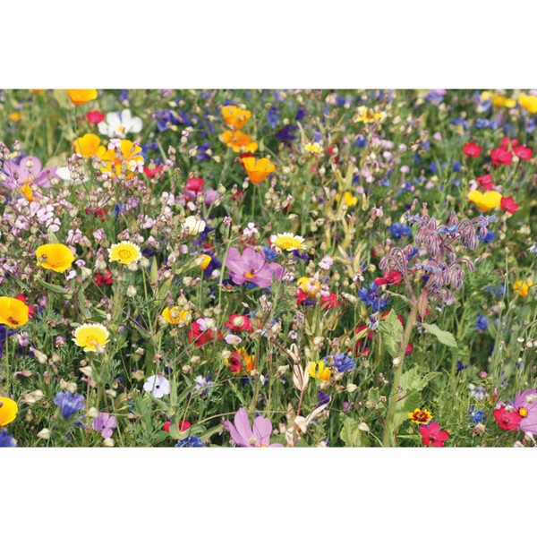 Seedlope flowers mix seeds, kraft envelope 105x65mm