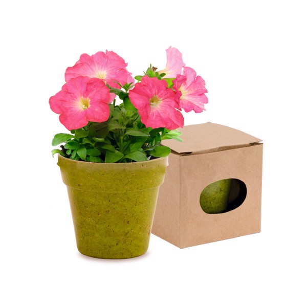 Flowerpot Advert - Green