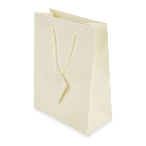 BOLSA PRESENTE PLASTIFICADA -