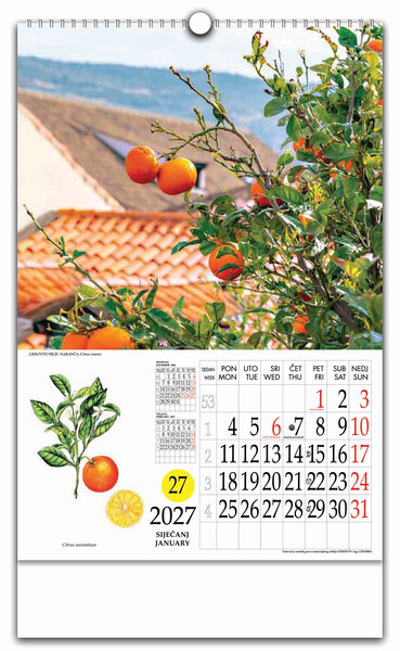 Zidni kalendar s rotacijskim krugom – Ljekovito bilje